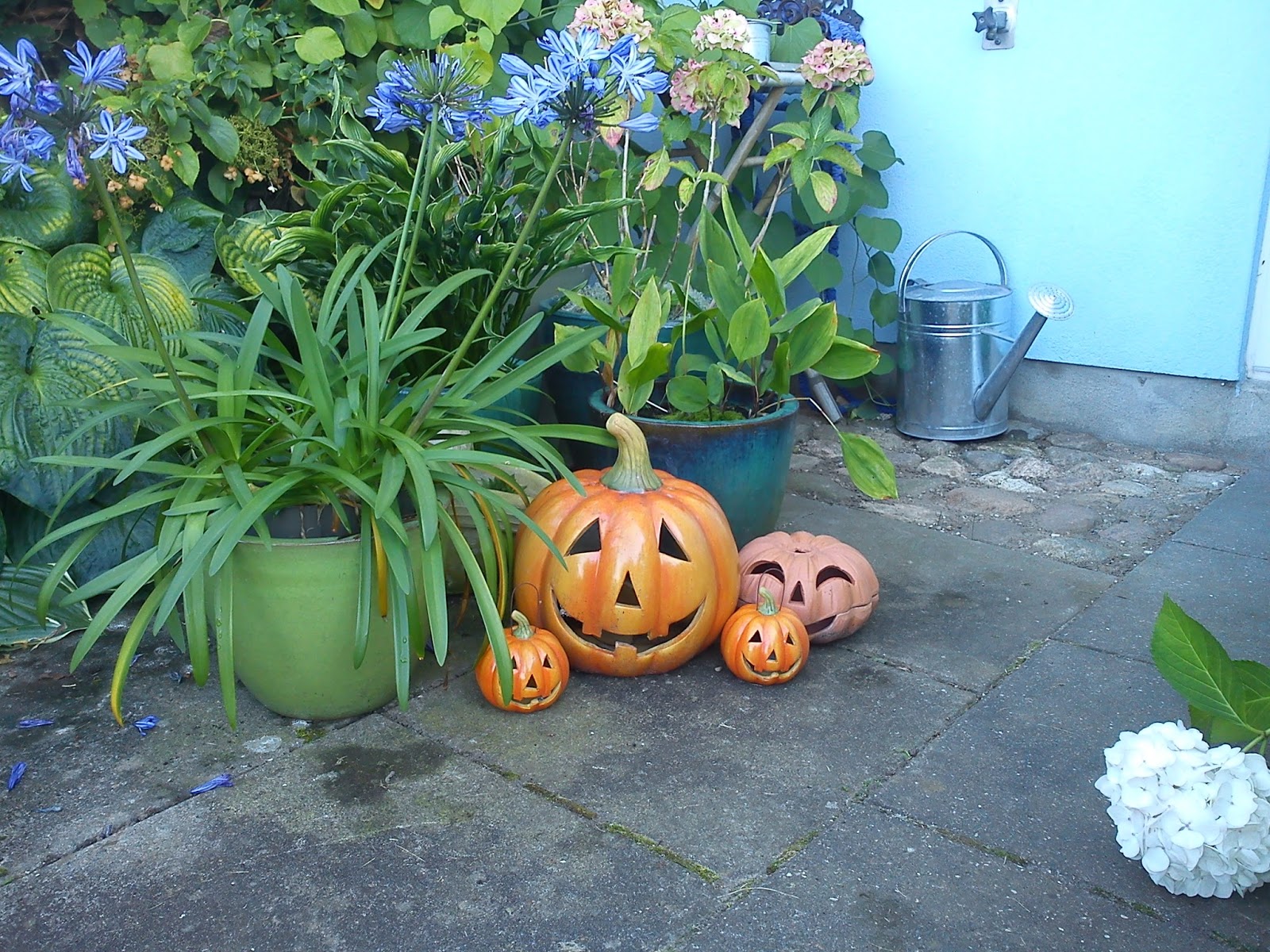 Kitchen of Kiki Pumpkin muffins with apple and walnut