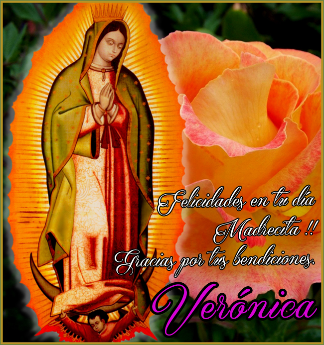 Banco de Imágenes Gratis: Pide el nombre que tú quieras en esta hermosa  imagen de la Virgen de Guadalupe con mensaje especial para celebrar el 12  de diciembre en las redes sociales