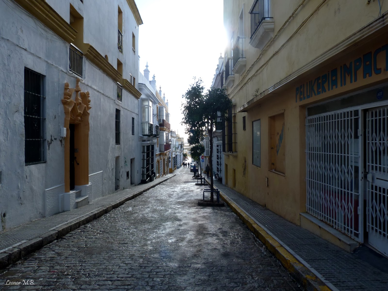 SAN FERNANDO. Ayer y hoy...y otras historias. CALLE LOPE DE VEGA