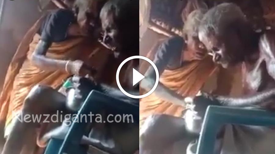 முதுமையிலும் குறையாத காதல் வீடியோவை பாருங்க சிலிர்த்துப் போவீங்க !! முதுமையிலும் குறையாத காதல் வீடியோவை பாருங்க சிலிர்த்துப் போவீங்க !!