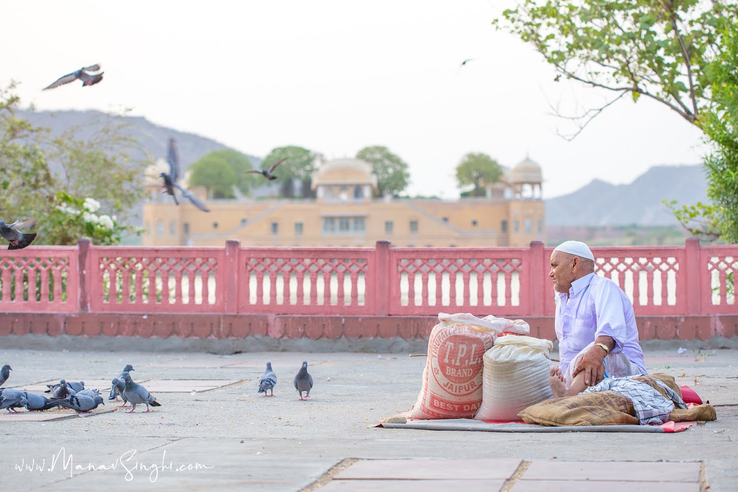 Jal Mahal Man Sagar Lake Jaipur