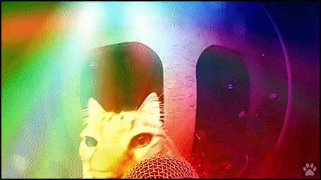 Art Cat GIF • Disco cat vibing hard to 'CATurday night fever' soundtrack. Amazing and colorful! [Vibing Cat No. 24]