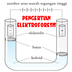 Pengertian Elektroforesis