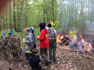 New group of scouts work in the woods.