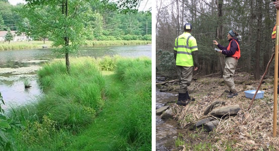 PA Environment Digest Blog Pike Conservation District Benefits Of Riparian Buffers, Trapping