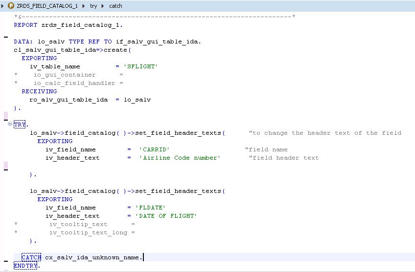 Understanding ALV in SAP with IDA- 6