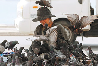 Senhora alimenta os pombos e vive cercada por eles na orla de Copacabana: cena divide opiniões Foto:  Carlos Moraes / Agência O Dia