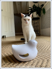 What's In The Box ©BionicBasil® Peek-a-Bird Electronic Cat Toy - Smooch