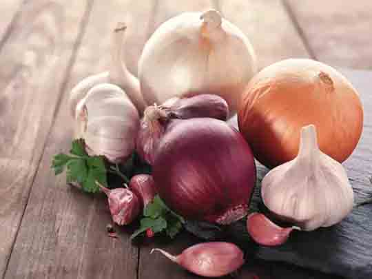 अदरक लहसुन प्याज के फायदे और नुकसान हिंदी में: Benefits of Ginger Garlic Onion in Hindi
