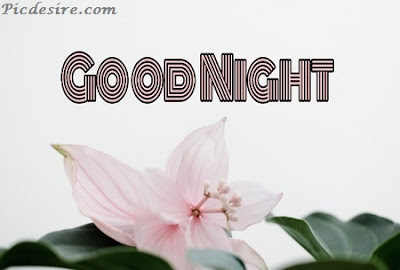Top 101 Good Night Images || Best Good Night Images Top 101 Good Night Images || Best Good Night Images