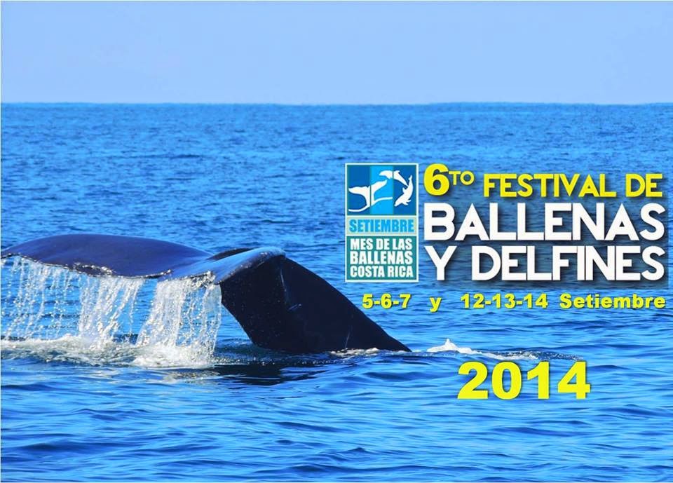 LIVING LIFE IN COSTA RICA blog: 2014 - Whale & Dolphin Festival ...