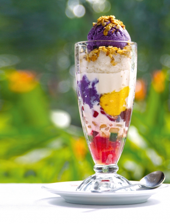 halo halo halo halo halo halo