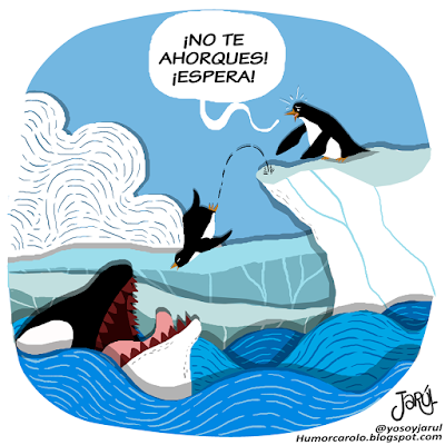 Pinguino devorado por orca asesina, pinguino, pinguinos, orca, orcas, polo norte, polo sur, jarúl, humor carolo, humor gráfico dominicano, viñeta, humor, dominicano, ilustrador. 