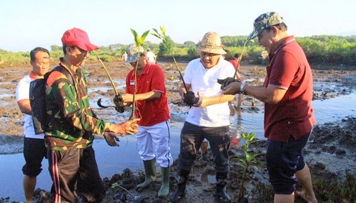 Hijaukan Jembrana dengan Seribu Pohon Mangrove