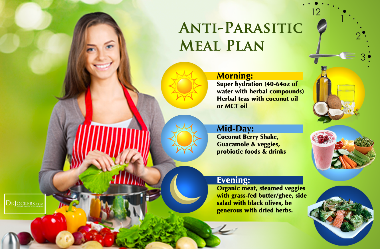 321 natural Anti Parasite Diet
