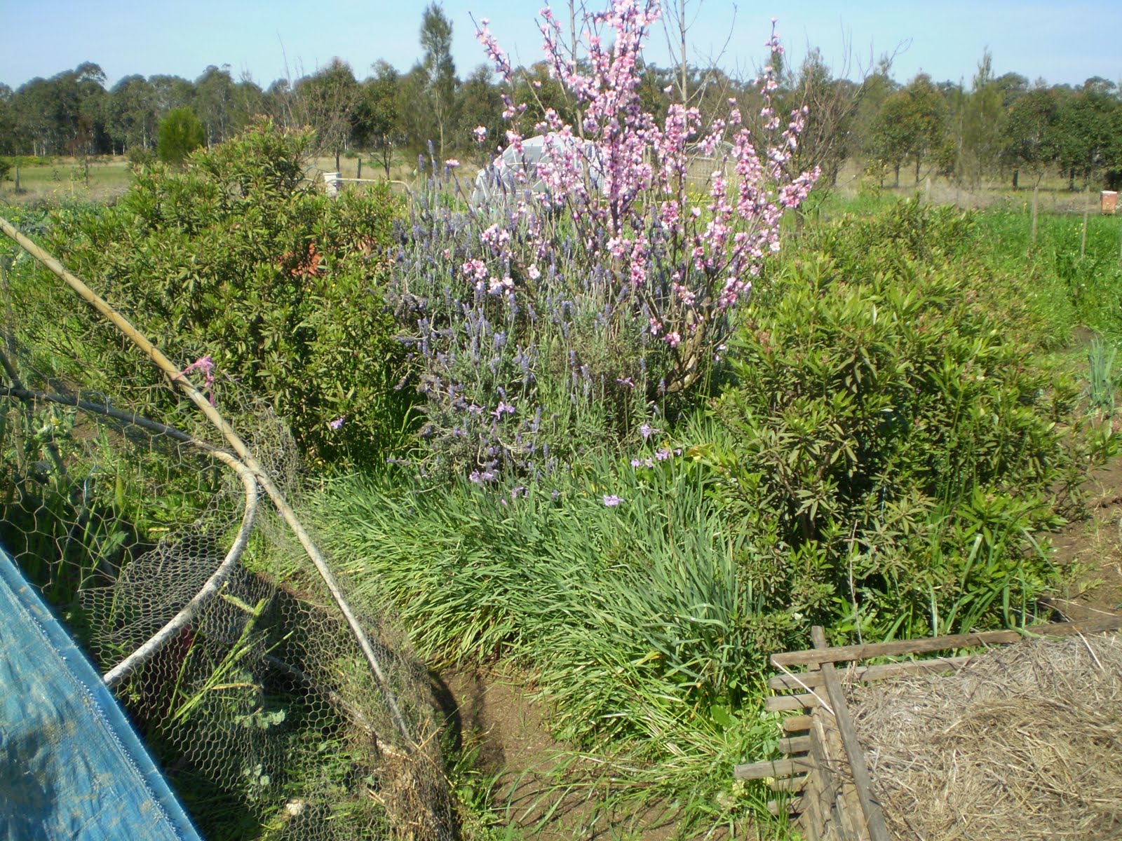 Blog Marrazzo S Manor Lane Florist Yardley Pa