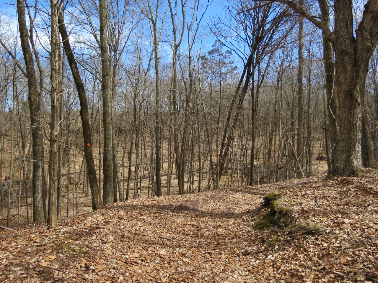 Gone Hikin' Horseshoe Bend Park, NJ North