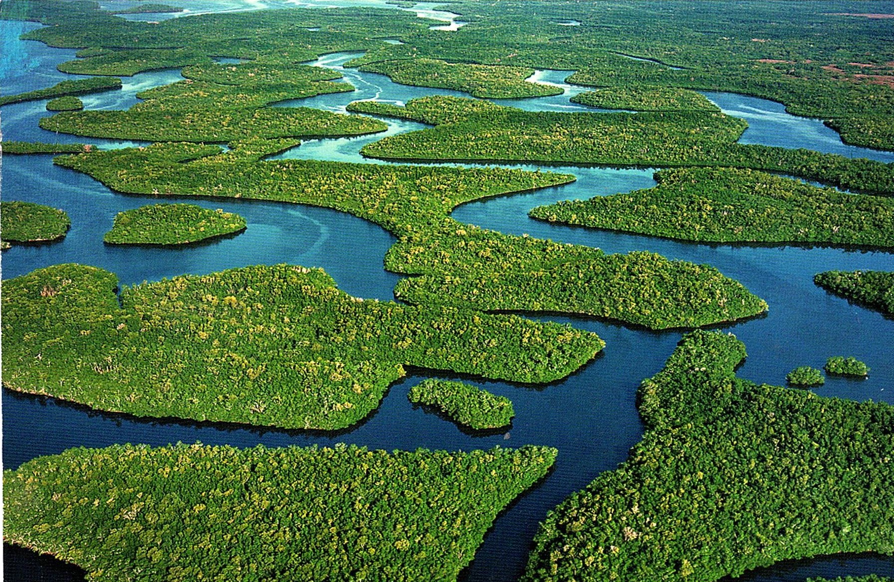 Самая длинная река на свете. Река Амазонка в Бразилии. Амазонка самая длинная река в мире. Бассейн реки Амазонка. Исток реки Амазонка.