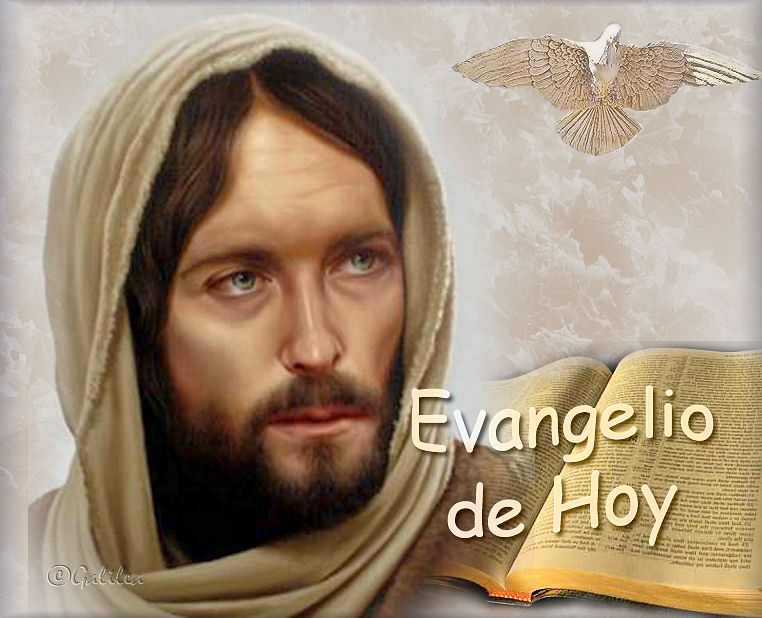 Jesús el Tesoro Escondido: Santo Evangelio 6 de septiembre 2019