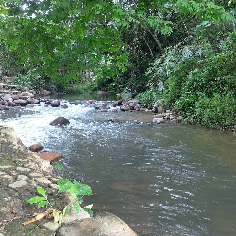 Chalet Betul-Betul Tepi Sungai Di Janda Baik, Dapat Rasai Deruan Air