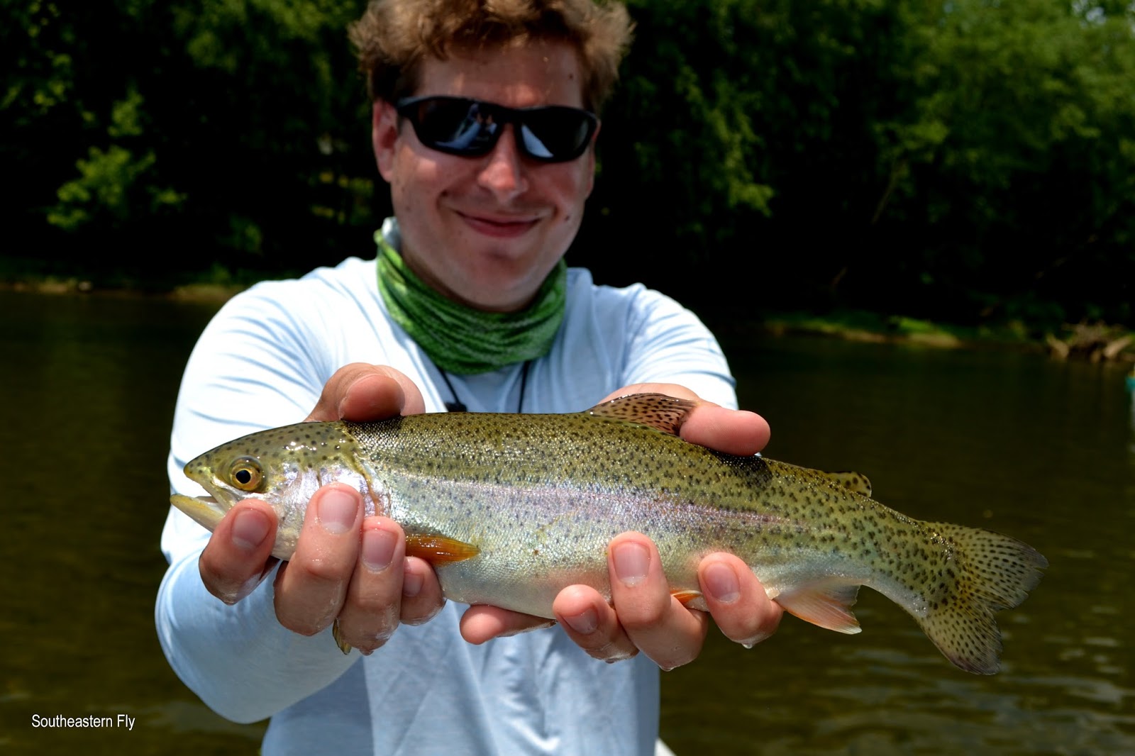 Southeastern Fly Fly Fishing Near Chattanooga