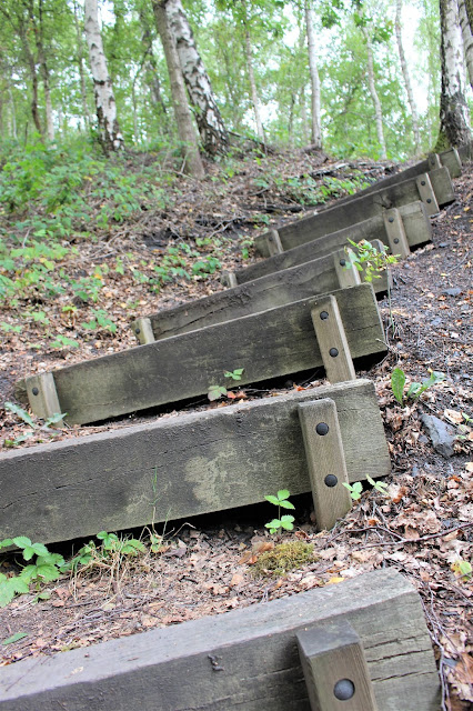 site du charbonnage du Martinet marches sur un terril