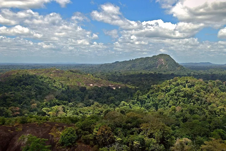 Cagar Alam Suriname Tengah terlihat dari Voltzberg.