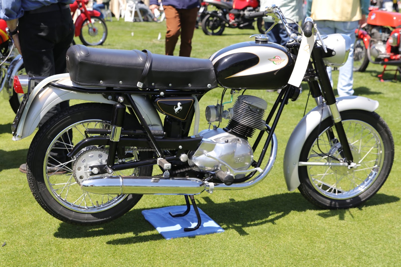 ducati 62 for sale