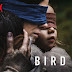 Bird Box ganhará sequência na Netflix e será baseado no livro Malorie