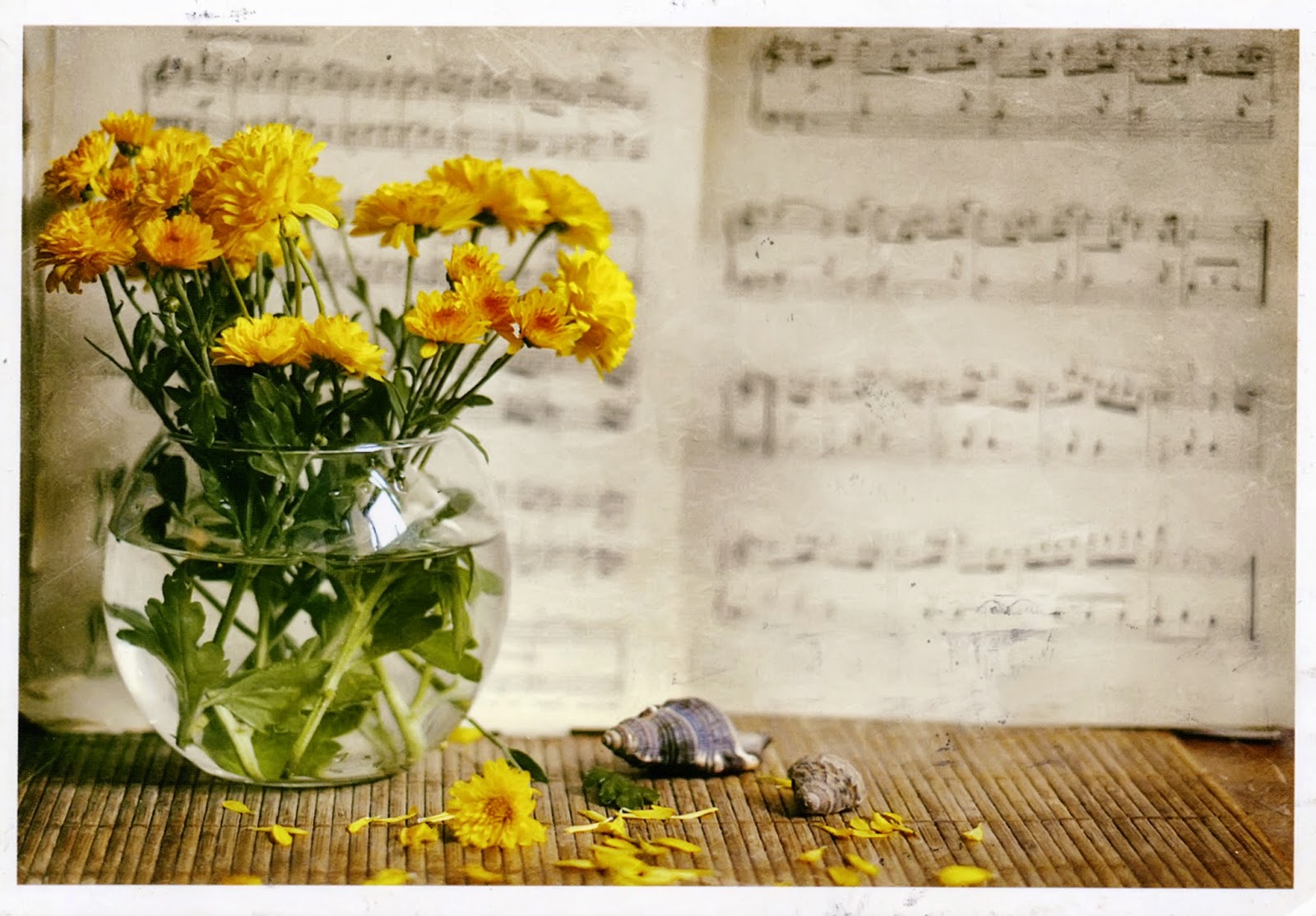 мелодия лета 53. музыка лета. мелодия лета 53. лето обложка. сборник песен красное лето.