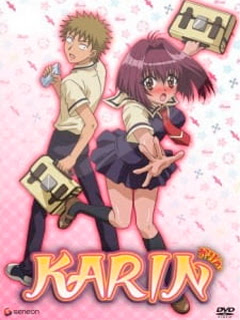 Assistir Karin Online Assistir Karin Online