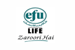 Jobs in EFU Life Assurance Co Pvt Ltd
