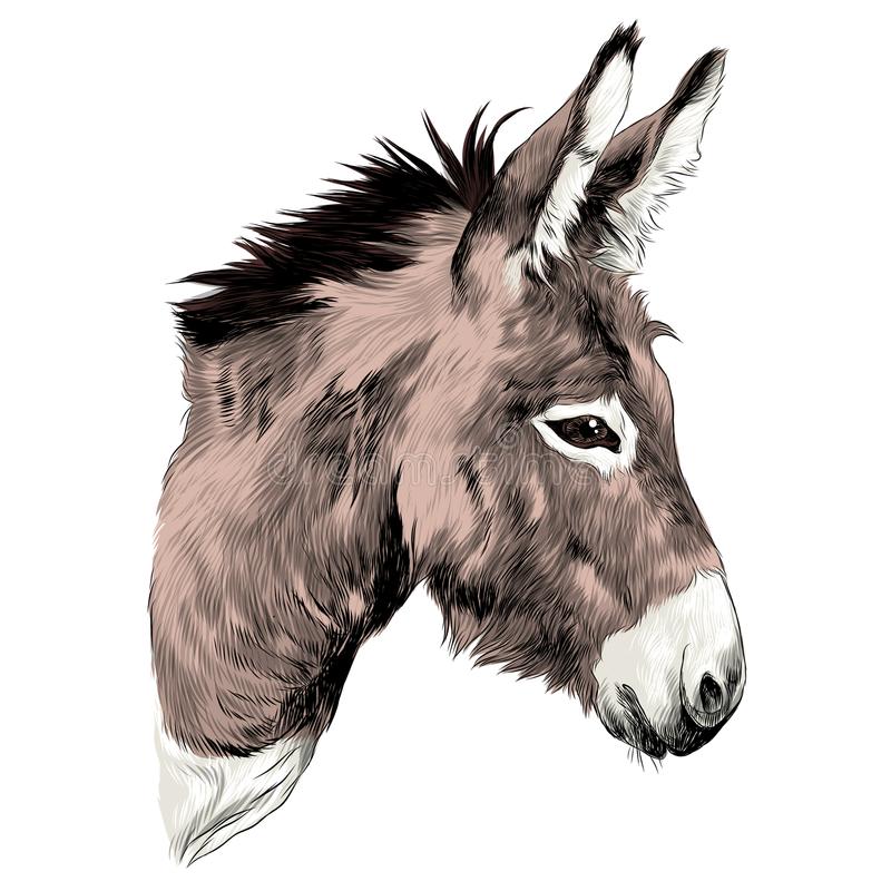 rob mclennan's blog: Touch the Donkey supplement: new interviews with Cunningham, Unsworth, Koss, Fong, Robinson, Ghaffar, Daneri + Hofmann,