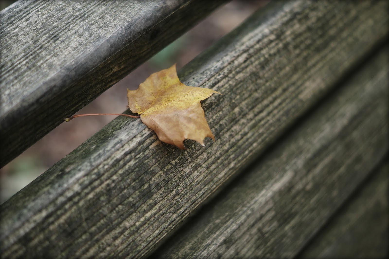 Wo Stille wohnt und Glanz... Es weht der Wind ein Blatt vom Baum...