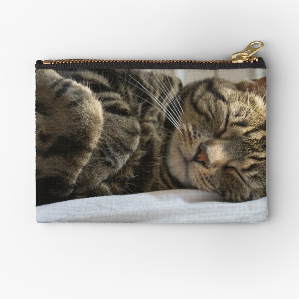 Athena Cat Goddess Wise Kitty Sunday Selfie and Friendly FillIns