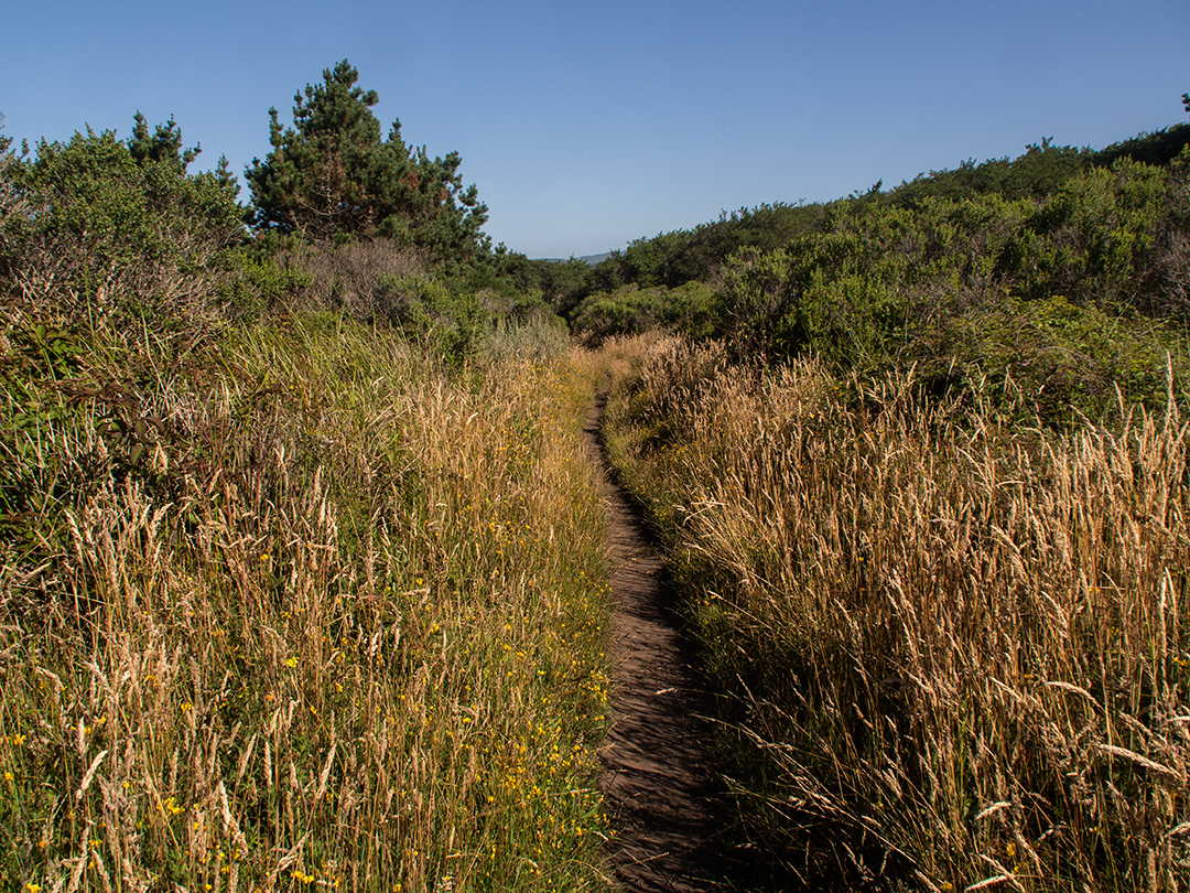 the mikereport Point Reyes, Different Hikes