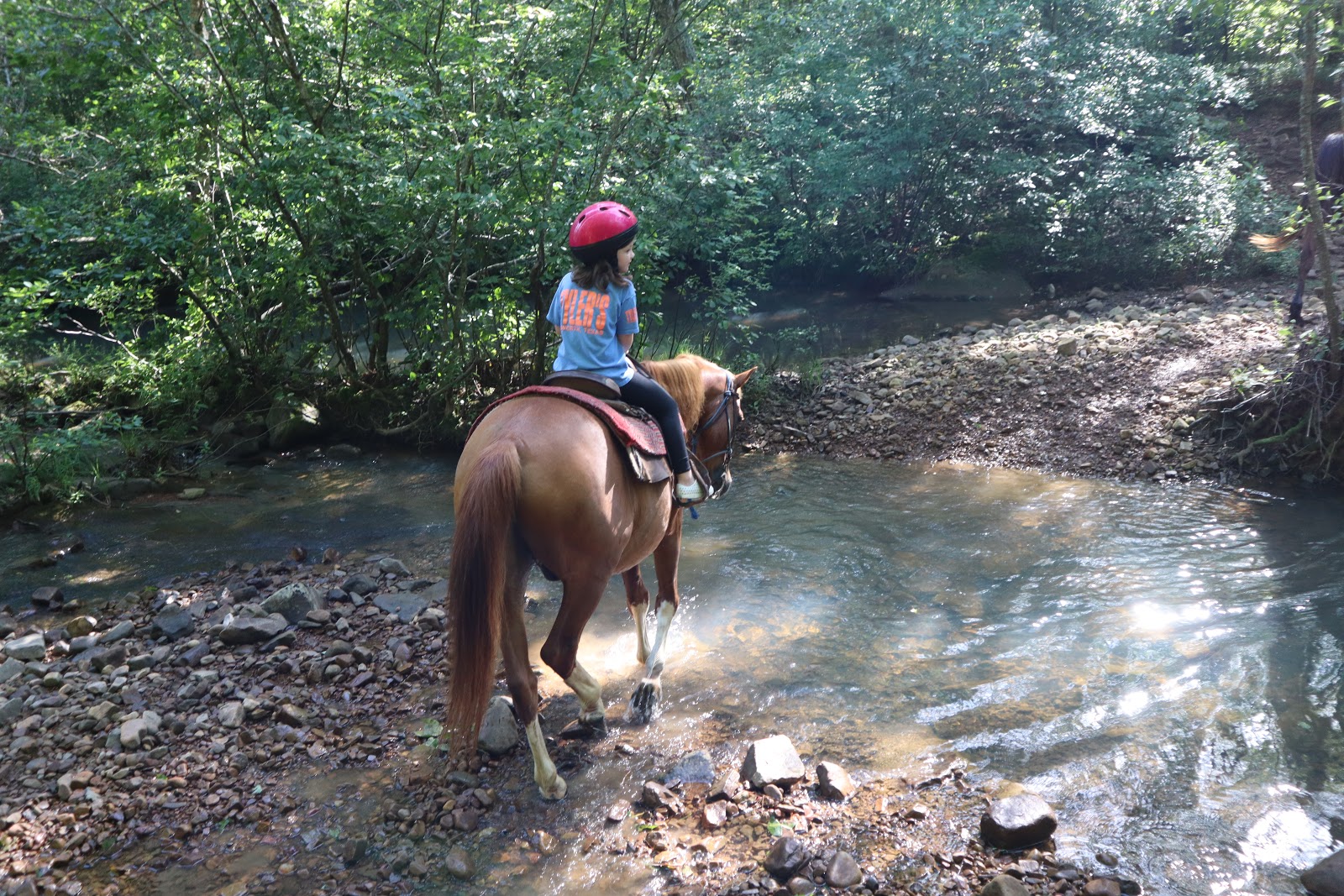 Momfessionals Broken Bow Part I