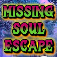 WowEscape-Missing Soul Escape