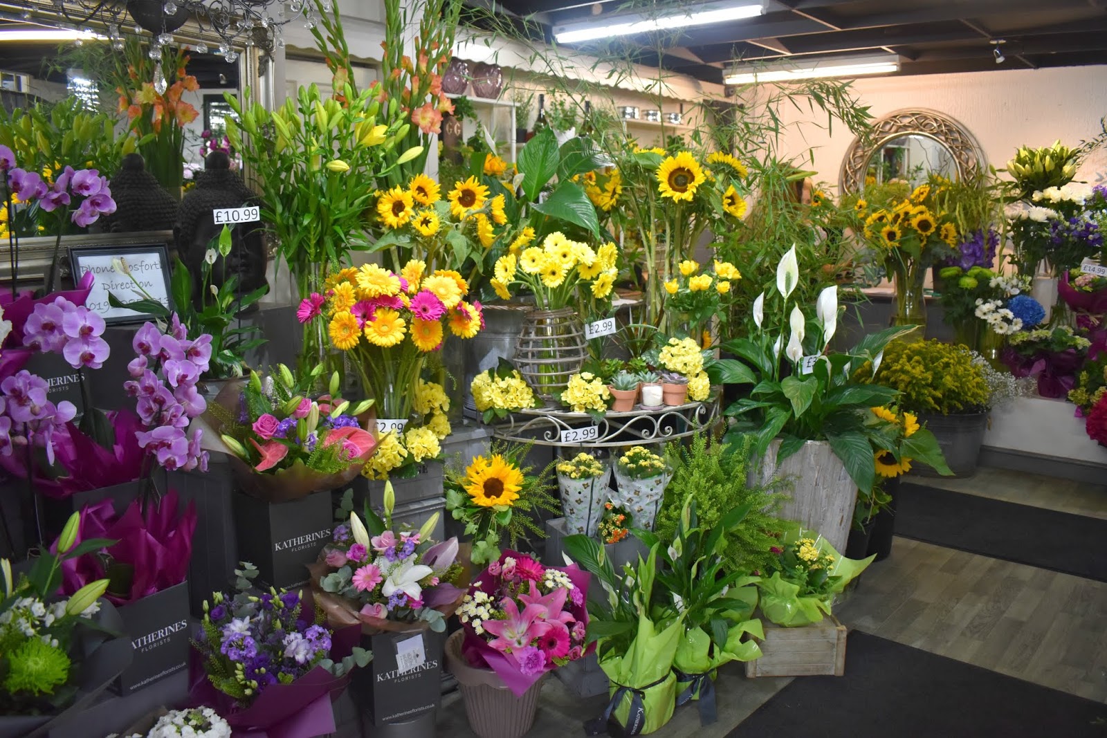 Katherine's Florists Newcastle Bubbles and Blooms Flower