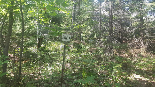 Veine de Quartz sur le sentier des collines d'Alembert