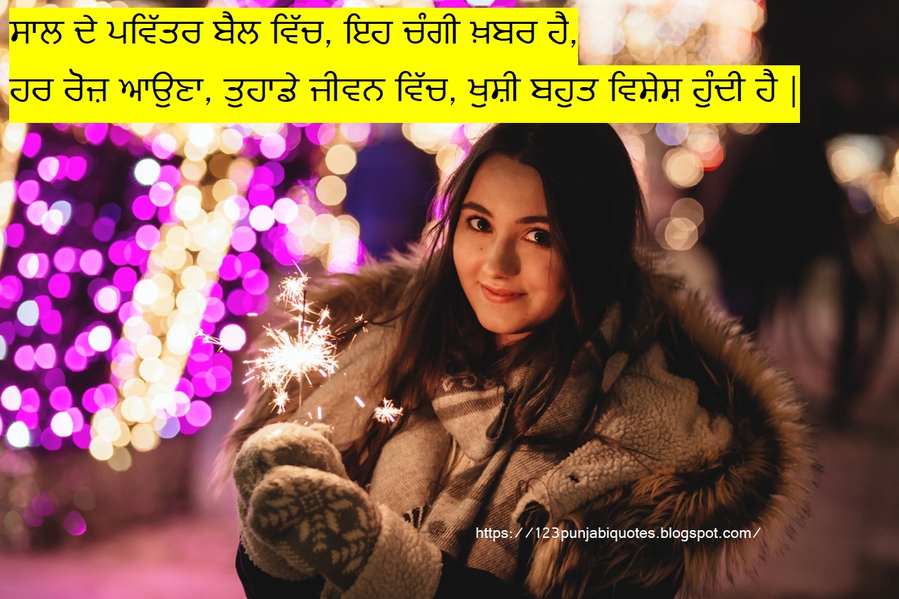 New Year Shayari in Punjabi for Girls and Boys Punjabi Navan Saal