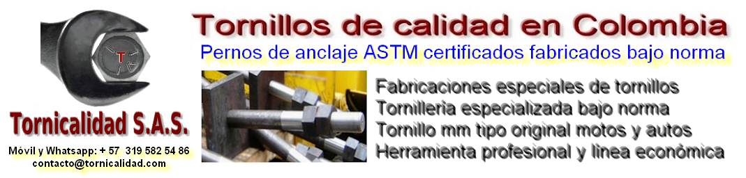 Tornicalidad: pernos de anclaje ASTM certificados, tornillos especiales, tornillos para motos