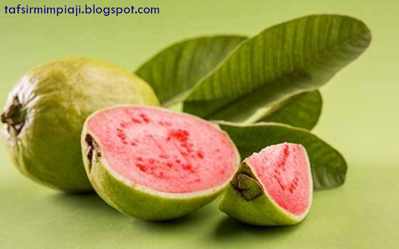 Mimpi Makan Jambu Biji Kami