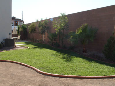 Most Famous Yards And Garden Designs Of Modern Trend | Home Decorating