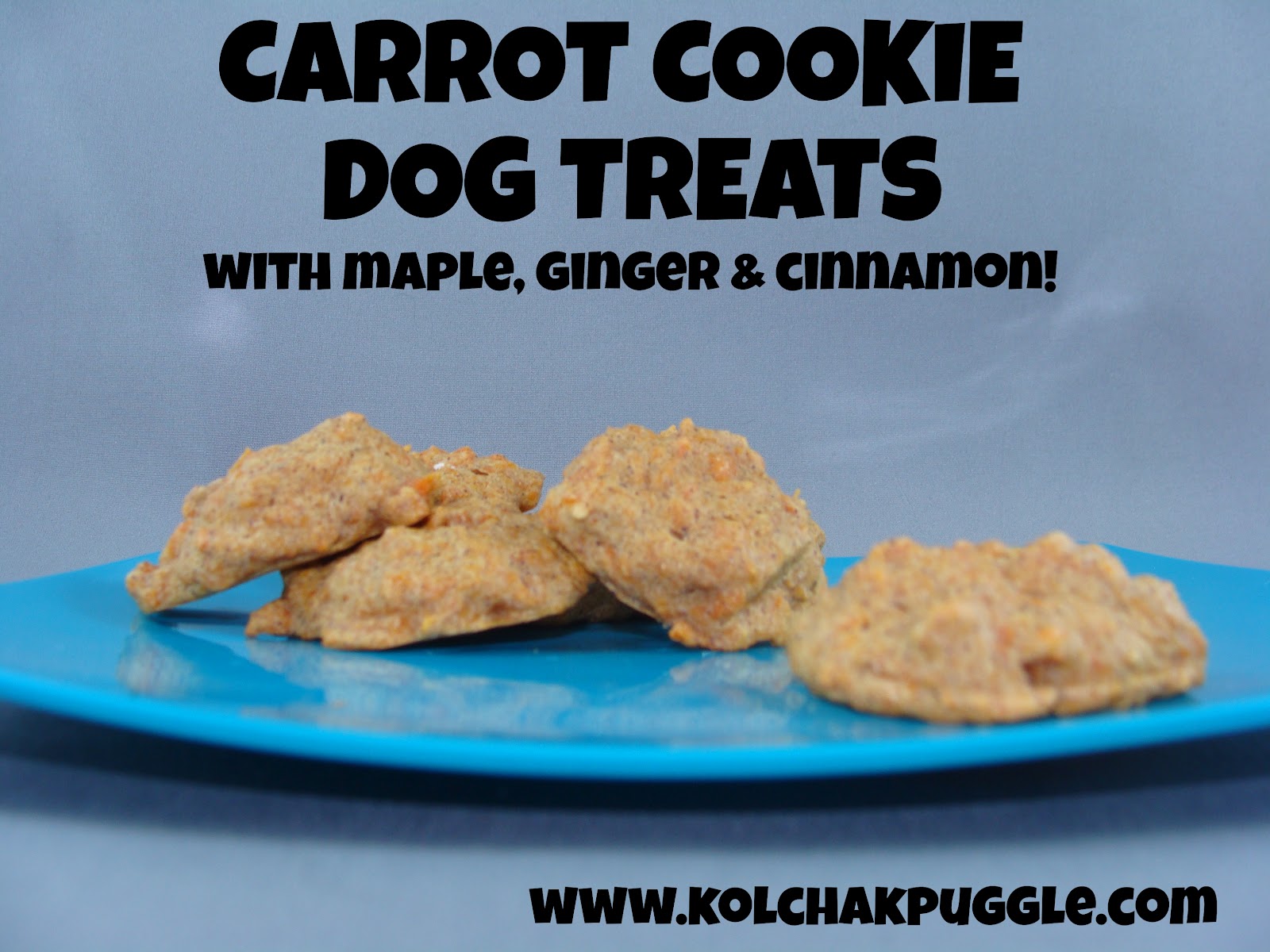 Tasty Tuesday Carrot Cookie Dog Treats Kol's Notes