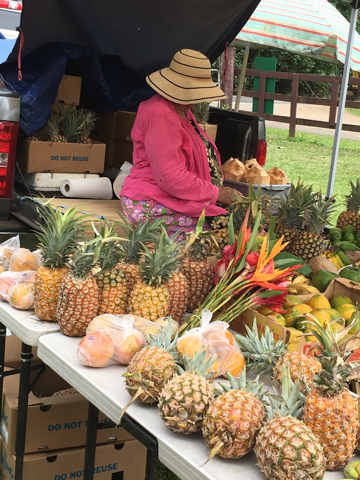 TRAILBLAZER HAWAII Eating the sunshine in Kauai