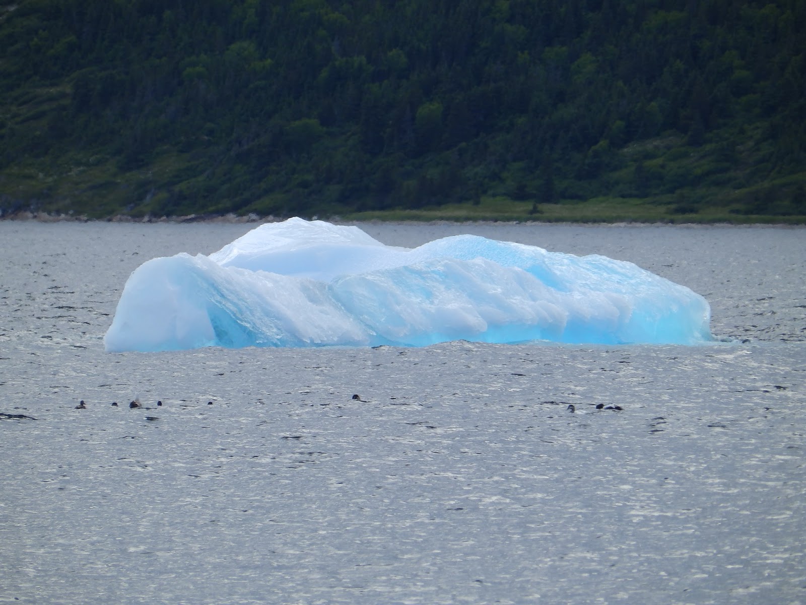 Northern Exposure 2013 Views From Stage Island, Labrador