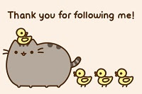 ¡Gracias por seguirme!