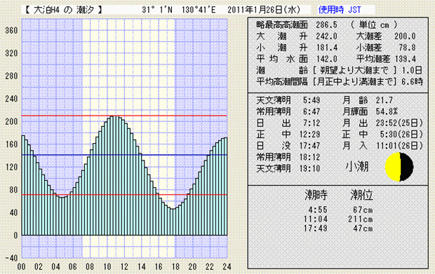 カランコエ・ダイグレモンティアナ:手入れ、剪定、病気 - カランコエ・ダイグモンティアナの特徴