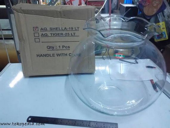 Harga Aquarium Mini Bulat Infoikan Com